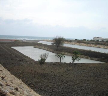 Lidi tarquinia laghetti 360x320