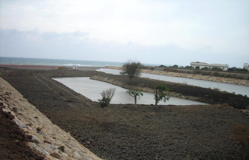 Lidi tarquinia laghetti